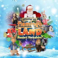 Christmas Experience at Flamingo Land